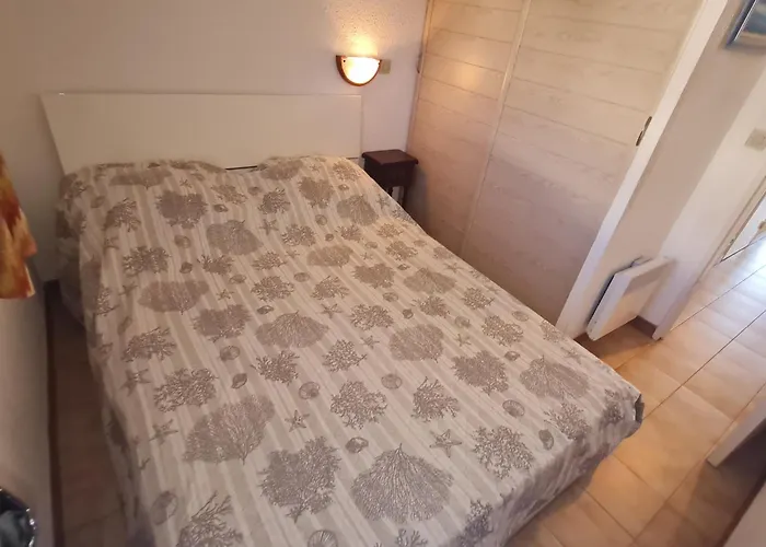 Lägenhet 2 Pieces Avec Balcon, Piscine Et Parking Privatif A - Fr-1-780-40 Sainte-Maxime